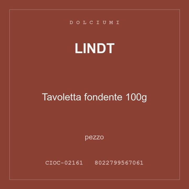 Lindt Tavoletta fondente 100g — conf. 6 pz