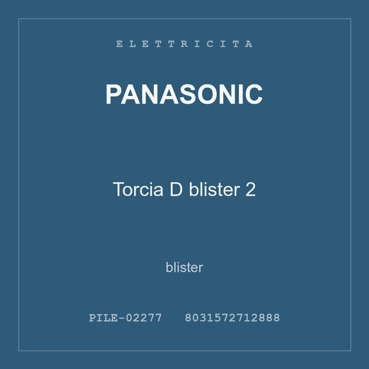 Panasonic Torcia D blister 2 — blister
