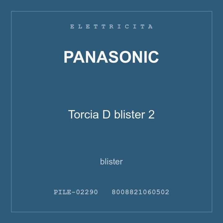 Panasonic Torcia D blister 2 — conf. 2 pz
