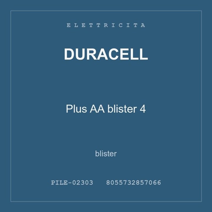 Duracell Plus AA blister 4 — blister