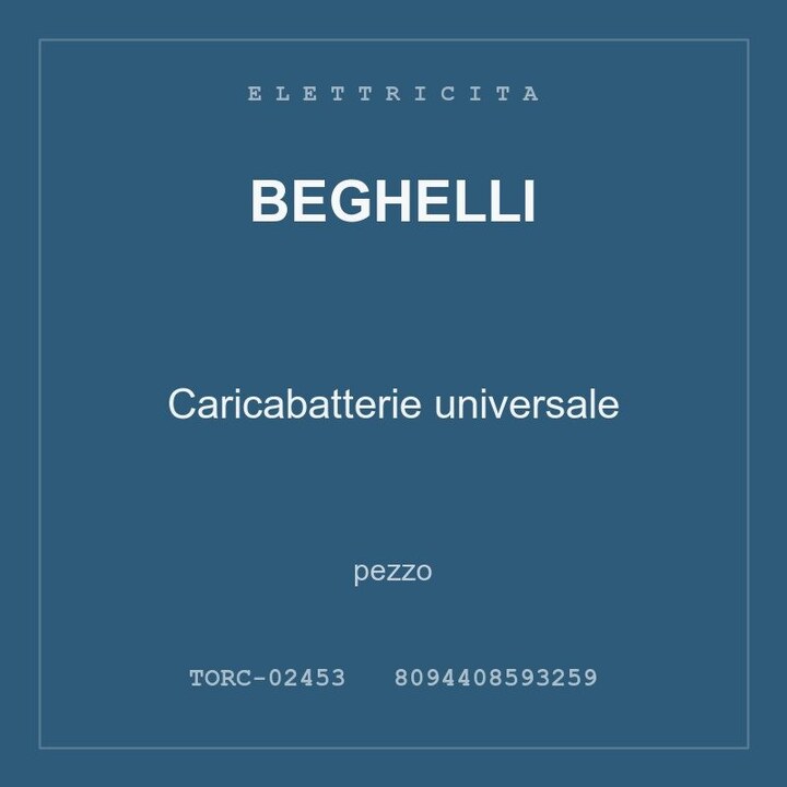 Beghelli Caricabatterie universale — pezzo