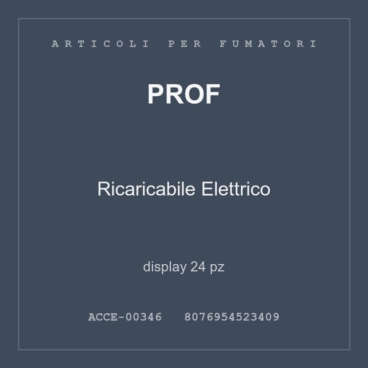 Prof Ricaricabile Elettrico — display 24 pz