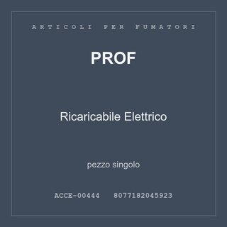Prof Ricaricabile Elettrico — pezzo singolo