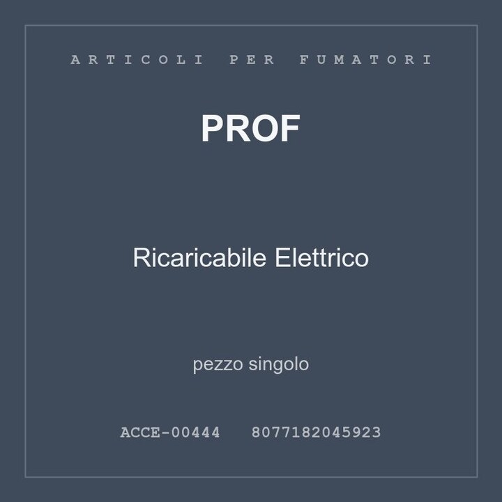Prof Ricaricabile Elettrico — pezzo singolo